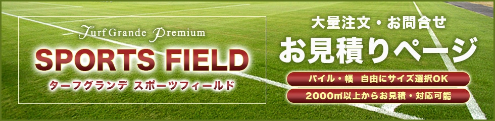 スポーツフィールド