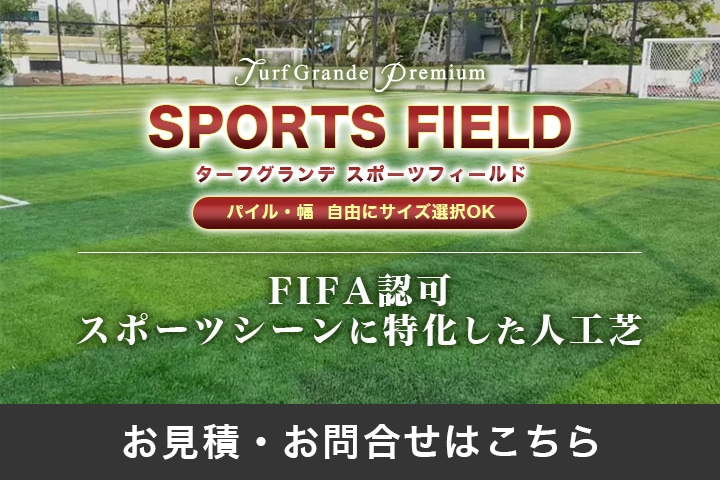 メモリーターフ