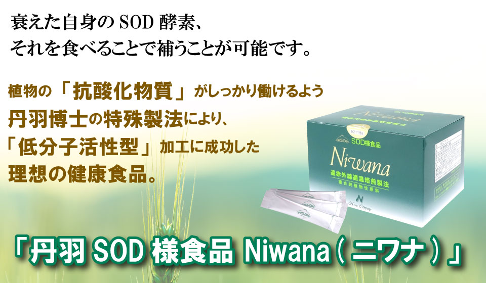 NEW売り切れる前に☆ 丹羽博士のSOD様食品 2箱 i9tmg.com.br