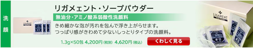 リガメェント・ソープパウダー
