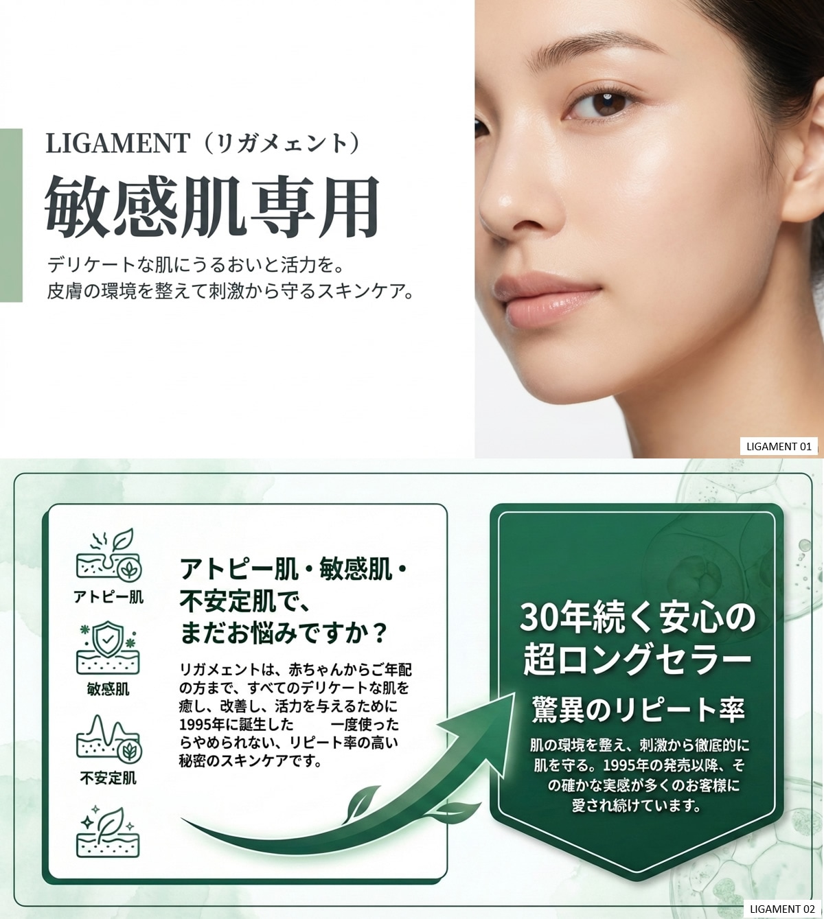 活性酸素とたたかう