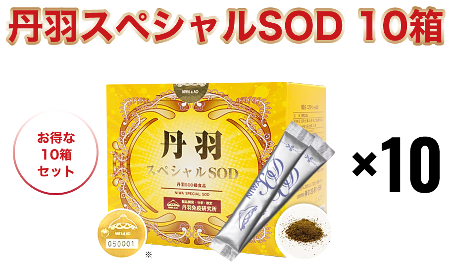 丹羽スペシャルSOD10箱