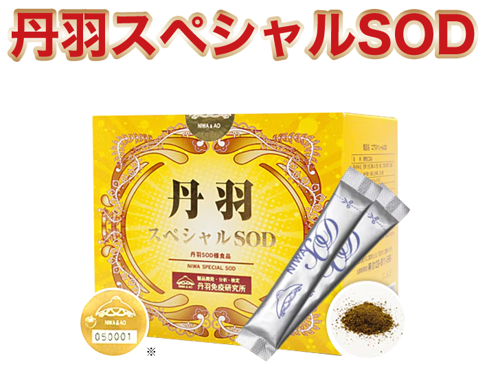 丹羽スペシャルSOD