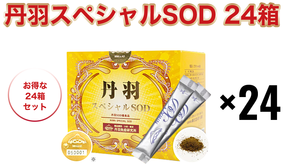 丹羽スペシャルSOD24箱