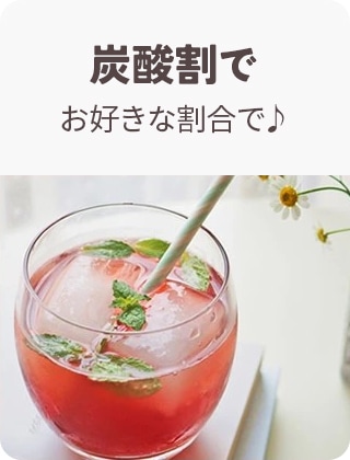 炭酸割りでお好みな割合で