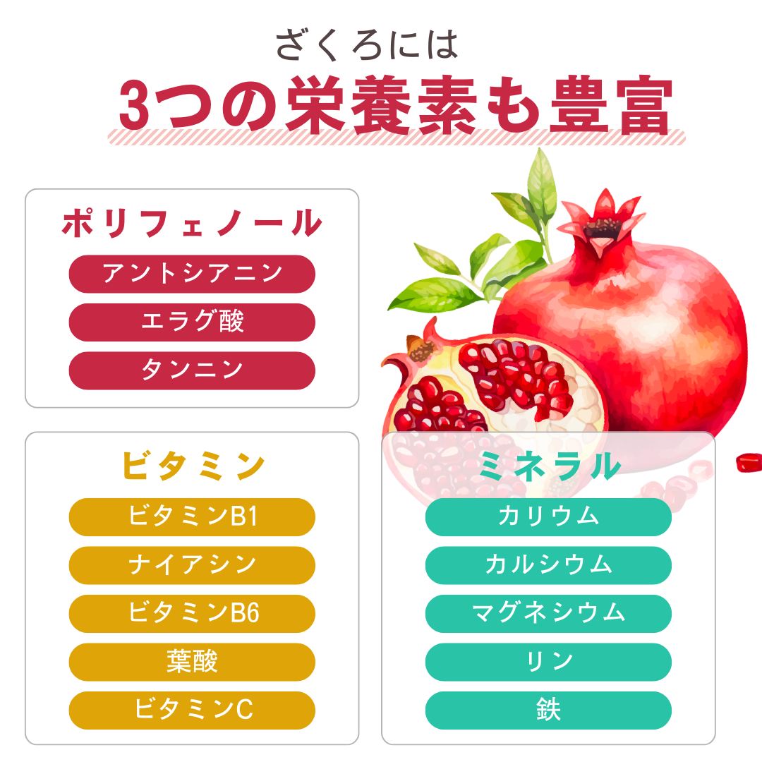 ざくろには3つの栄養素も豊富