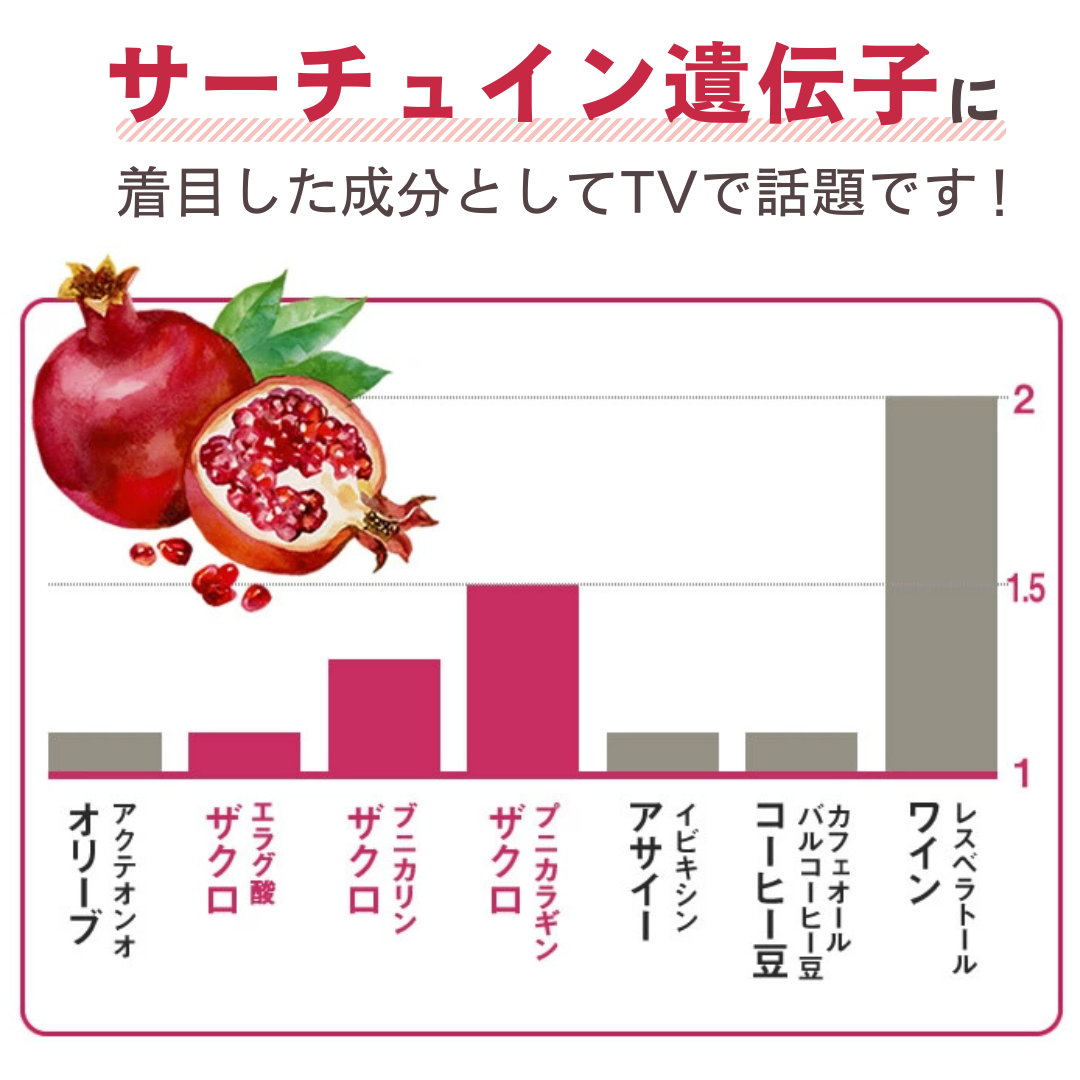 サーチュイン遺伝子に着目しTVで話題