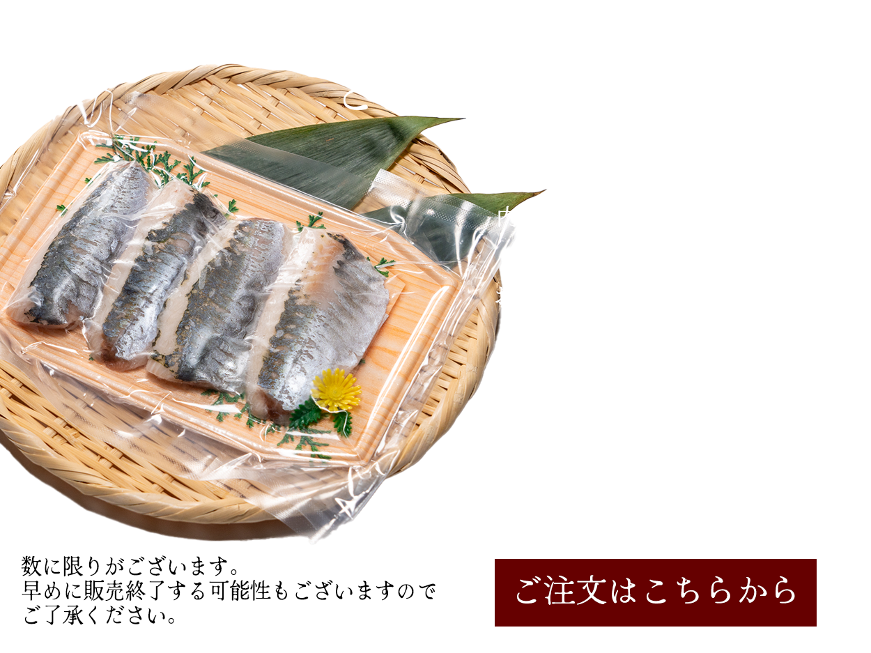 どんちっちアジ　刺身　お中元　おすすめ　限定販売　島根県　浜田市