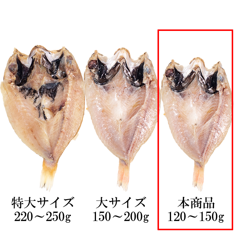 サイズについて