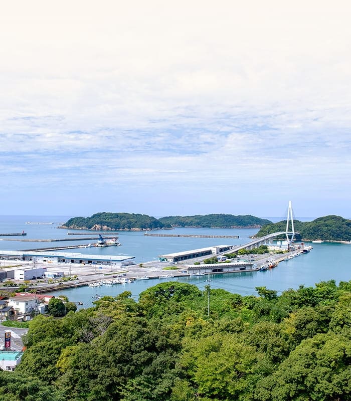 海の景色