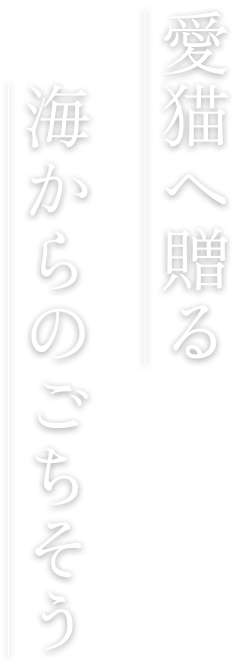 愛猫へ贈る海からのごちそう