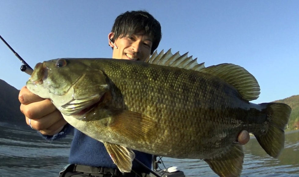 japanese bass fishing baits JDM online shop