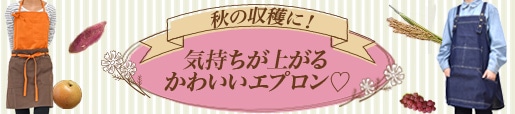 秋 収穫 エプロン