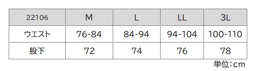22106サイズ表