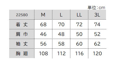 22580サイズ表