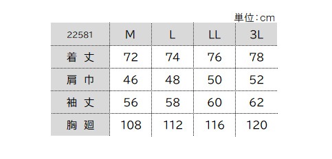 22581サイズ表