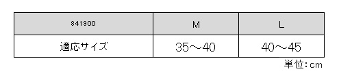841900サイズ表