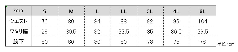 9813サイズ表