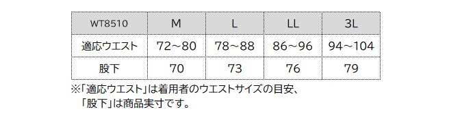 WT8510サイズ表