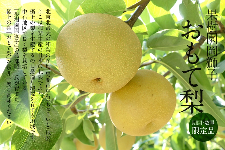 秋田ずらり│おもて梨-北限の梨 男鹿・中石の絶品梨