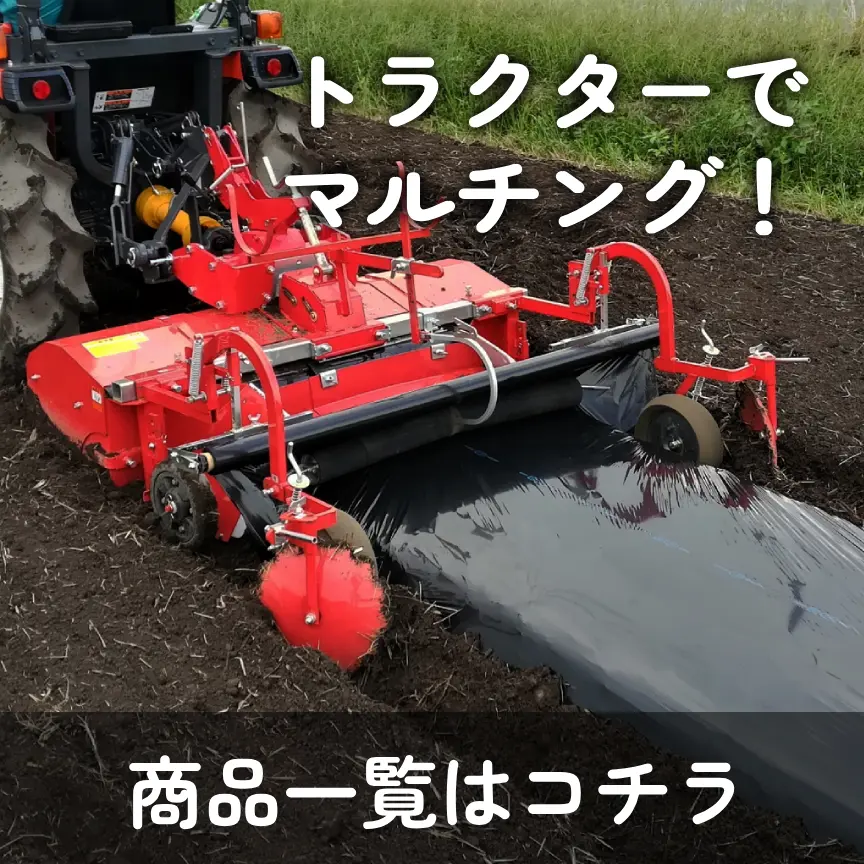 マルチャー特集