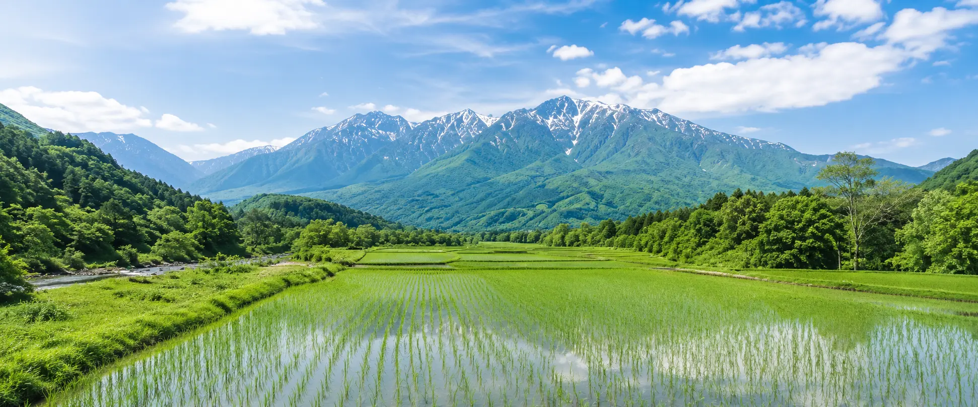 長野県の山々と田園風景