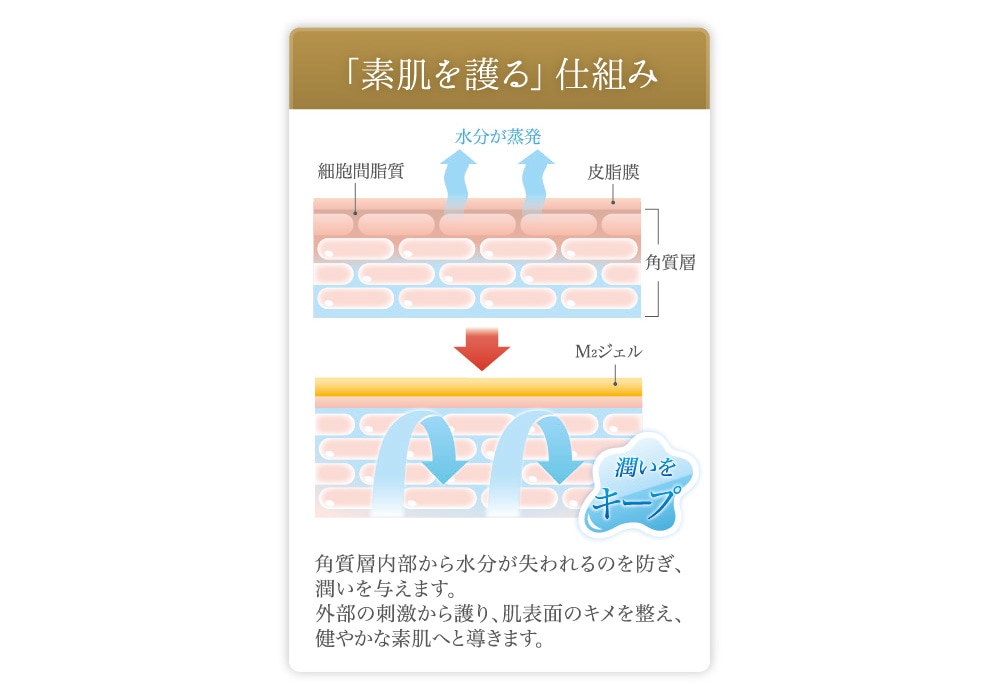 ルイボM2 ジェル