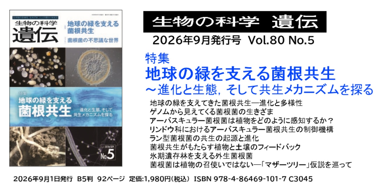 生物の科学　遺伝　2026年9月発行号　Vol.80 No.5　特集　特集　地球の緑を支える菌根共生