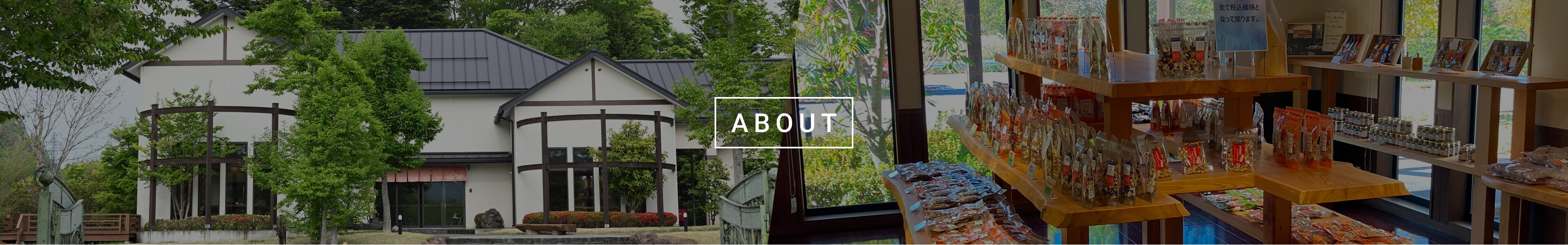 トップイメージ