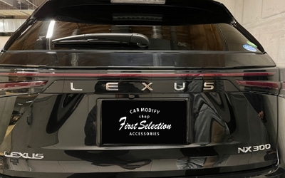 NX