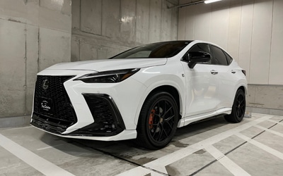 NX