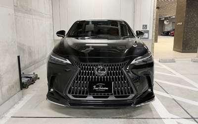 NX
