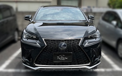 lexus nx10