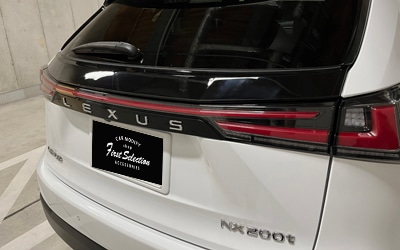NX