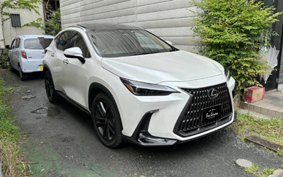 NX