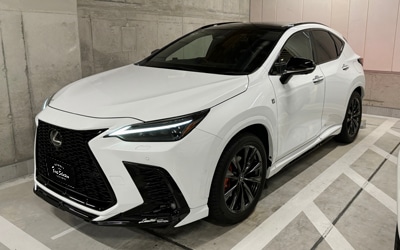 NX