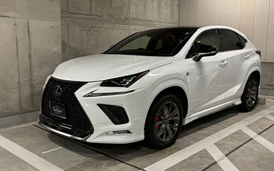 NX