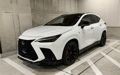 NX