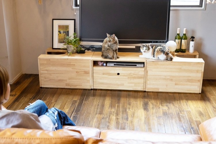 人と猫のための家具、ねこ家具（棚）通販｜NY& Online Shop