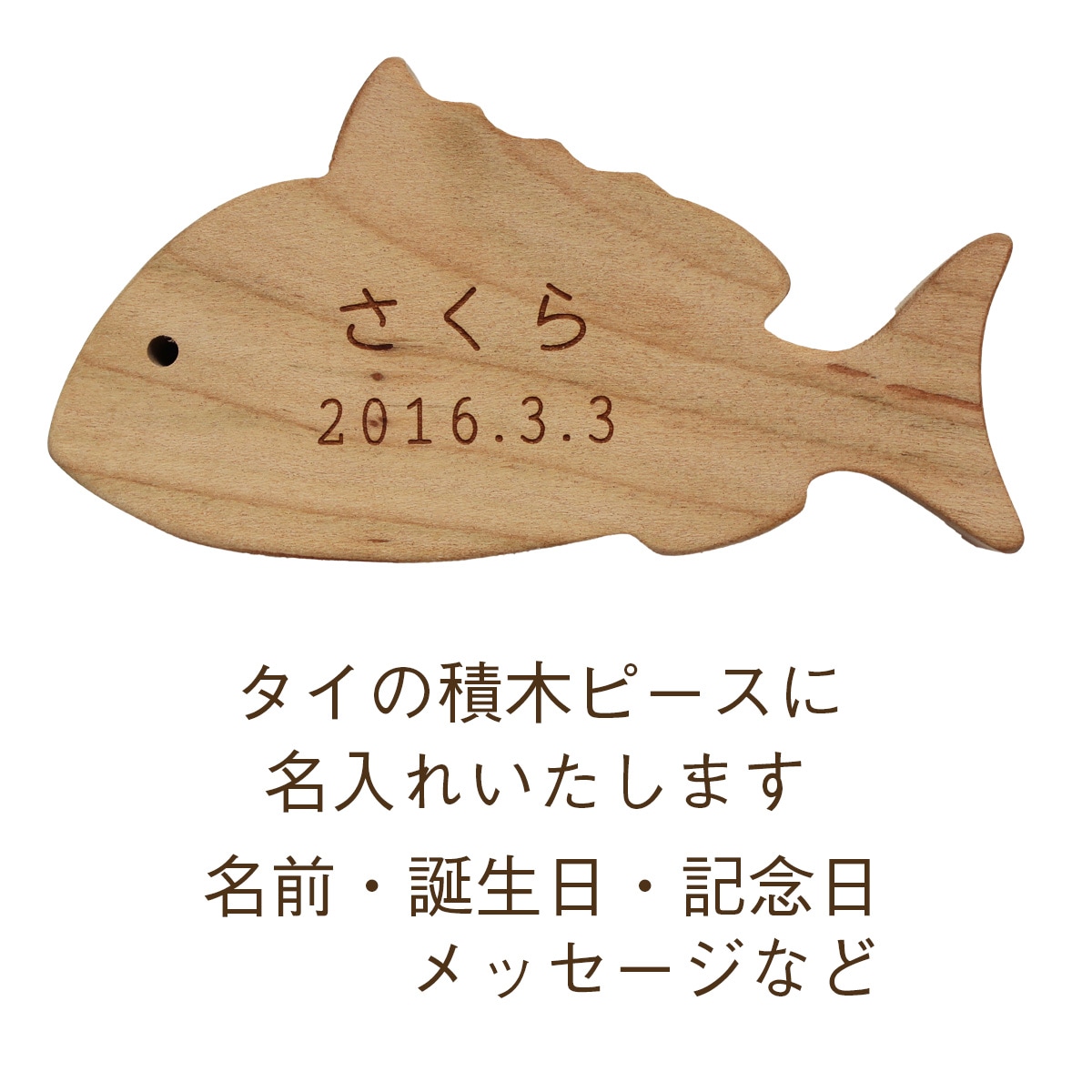 海のいきものつみき｜オークヴィレッジオンラインショップ