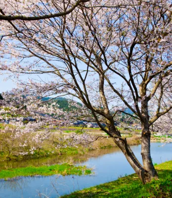 岡山県真庭市 栗原地区の写真