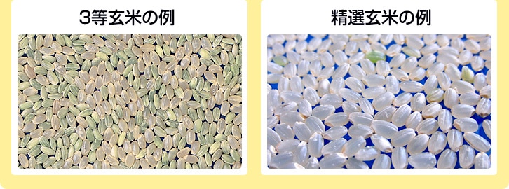 3等玄米と精選玄米の例