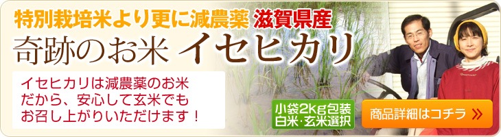 イセヒカリは農薬不使用の玄米だから、安心して玄米で食べていただけます！