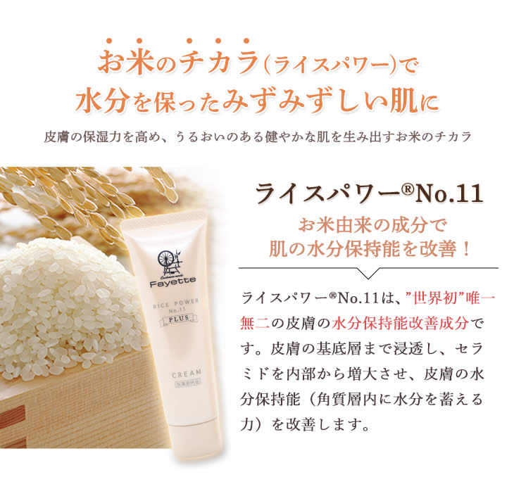 Fayette ファイエット 薬用保湿クリーム 50g （医薬部外品）【ゆう