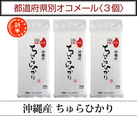 ��ƻ�ܸ��̥����᡼��3��