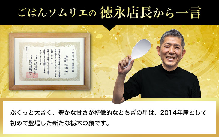 ���Ϥ󥽥�ꥨ������