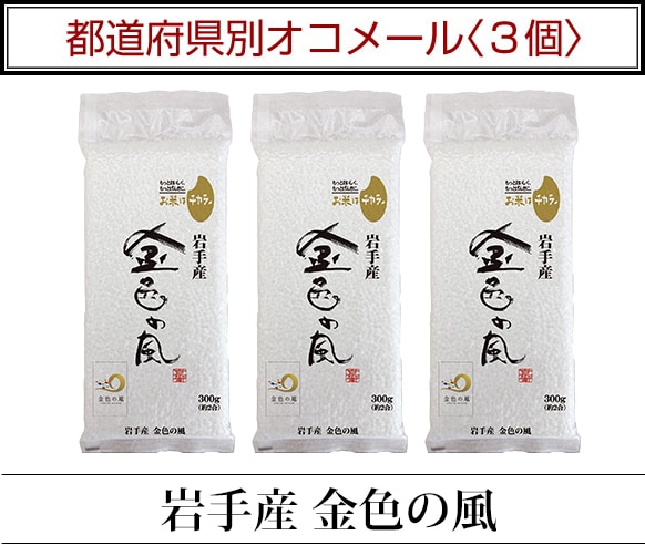 ��ƻ�ܸ��̥����᡼��3��