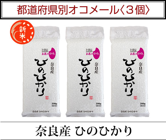 ��ƻ�ܸ��̥����᡼��3��