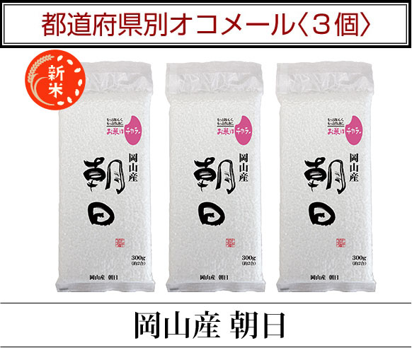 ��ƻ�ܸ��̥����᡼��3��