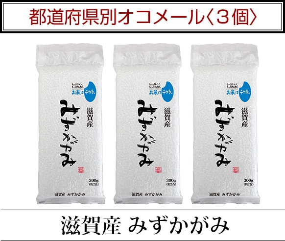 ��ƻ�ܸ��̥����᡼��3��